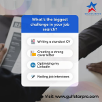 Infographic from Gulf Star Pro listing the biggest job search challenges: writing a standout CV