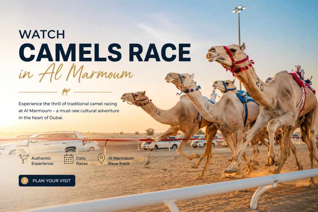 Camel racing is one of the UAE’s.